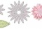 11881_461923020542603_1377571053_n